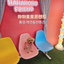 하하호호프렌드 이미지