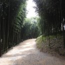 관송재 | 오인교의 전라도누정기행-장흥 관송재(觀松齋)