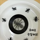 4월 10일 🔍루페로 개미를 관찰해요&amp;🐜개미나라 이미지