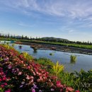 무안생태갯벌사업소 이미지