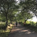 관덕경로당 이미지
