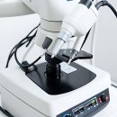 플라워 치과기공소 | 드디어 이빨 요정 만날 시간이다!