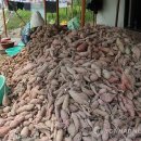 익산푸드통합지원센터(APC) 이미지