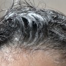 (주)콘디코리아 이미지