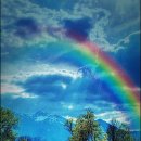 해뜨는집 이미지