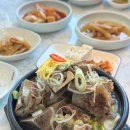 김대감설렁탕 - 공주시 동학사1로 237 | [진주/맛집] 김대감 소뼈 보양탕 진주 혁신도시 맛집