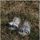 바닷가이솝아저씨네집 이미지