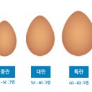 안일농장 이미지