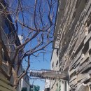 대성빨래터 이미지