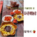 메타스케이트보드 | 경기도 딸기체험은 8세,5세와 포시즌딸기밭으로 !