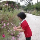 애니오토 이미지