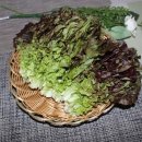 자연대로4 이미지