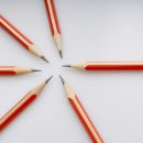 보타니컬 꽃 식물 드로잉 이미지