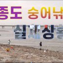 숭어 포인트 인천대교 기념관 우측 - 물때 7,8,9,10물 만조 3시간 전 이미지