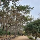 화악산여행사 | 구순 어르신 가족의 코로나 속 2박3일 경상도 여행