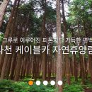 숲속식육점