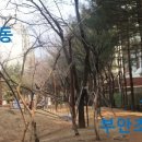 부림중학교 맞은편 이미지