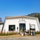 루스베델
