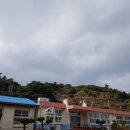 시산이드레 네이버블로그