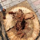 구월남로 이미지