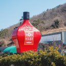 부윤영농조합법인 | 진도홍주 추석선물전통주 추천! 진도아리랑영농조합법인 방문 후기