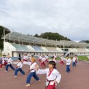 용인대엘리트태권도체육관 | [김포 구래동 태권도] 경기도 교육감기 태권도대회, 태성태권도 시범단의 뜨거운 도전!