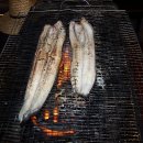 장어농장 이미지