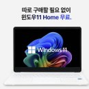 14 | 대학생 가성비 노트북 추천 베이직스 베이직북 14 후기와 선택 기준