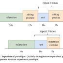 슈로스&과학운동센터 이미지