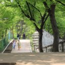 외국인학교-1구간 네이버블로그