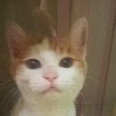 용강동물병원 이미지