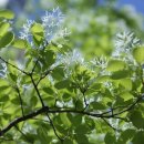 더 머물다 이미지