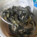 한석골순대 이미지