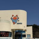 놀자대게 본점 이미지