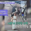 둥지약국 네이버블로그