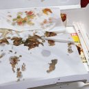 호식이두마리치킨 고잔1호점