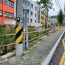 대구상원초등학교 네이버블로그