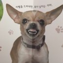 정범수 | 전주 가족치과 / 전북대 치과 추천 / 전주 가족보건의원 / 전주 치과 사랑니 발치와 신경치료 후기 (0/10)