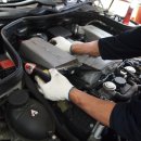 골드모터스 이미지