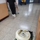 정읍남초등학교 이미지
