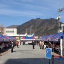 화순불미나리 이미지