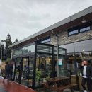 전원일기동광점 | 서귀포 맛집 추천! 제주아트서커스 근처 가성비 쌈밥 ‘전원일기 동광점’