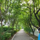 비산 빗물펌프장 이미지