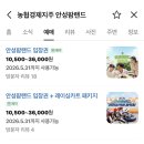 (주)한코교역 | [안성팜랜드 봄나들이] 오픈런 후기! 승마체험, 2인용 레이싱카, 호밀밭 인생샷까지 총정리