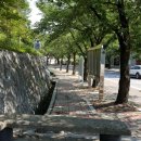 청풍면사무소 앞 이미지