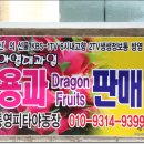 용농장 이미지