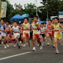 제6회 보령임해하프마라톤대회 이미지