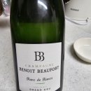 샴페인 베누아 보포 블랑 드 블랑 시음기 | Champagne...de Blancs |로젠달 그랑크뤼 샴페인 버킷 후기