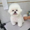 멈미스 이미지