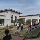 애견멀티샵 이미지